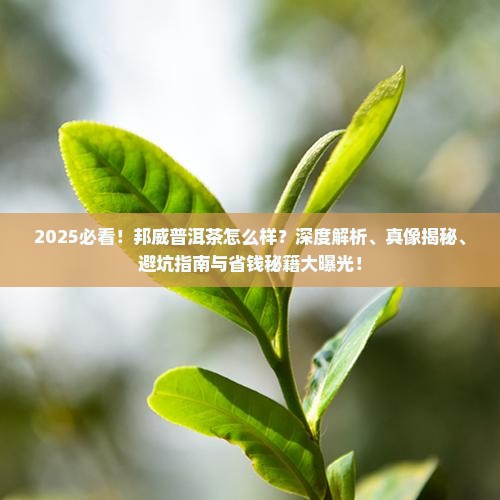 邦威普洱茶怎么样