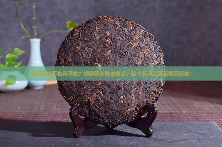 普洱茶怕不怕耗子咬