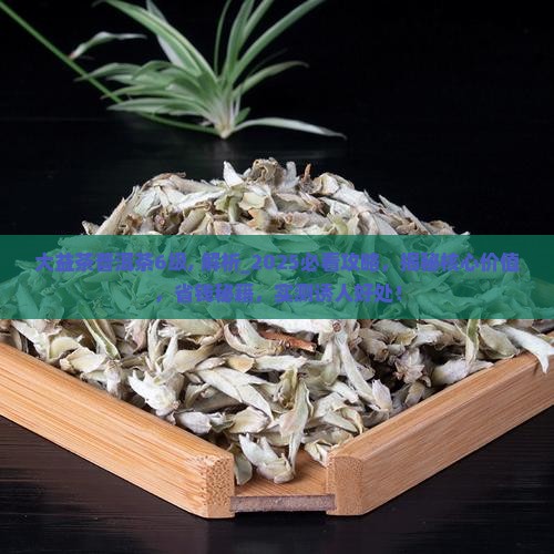 大益茶普洱茶6级