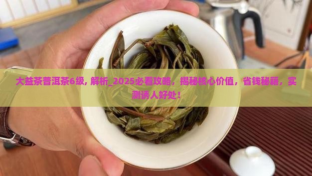 大益茶普洱茶6级