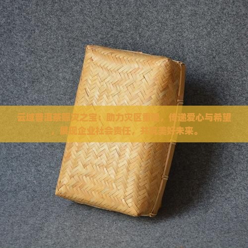 云域普洱茶赈灾之宝