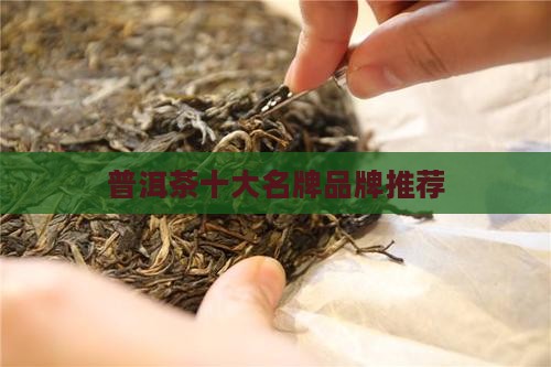 名山名寨普洱茶选哪个品牌