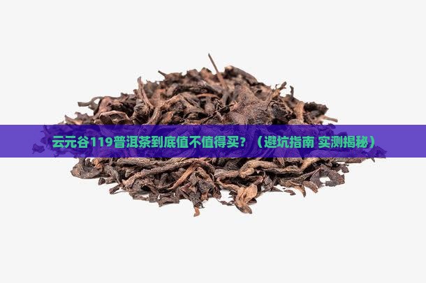 云元谷119普洱茶