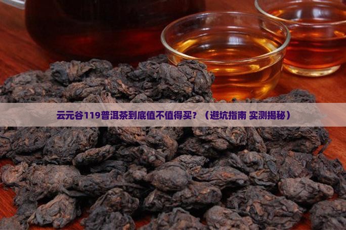 云元谷119普洱茶