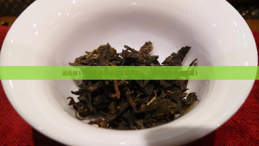 云元谷119普洱茶