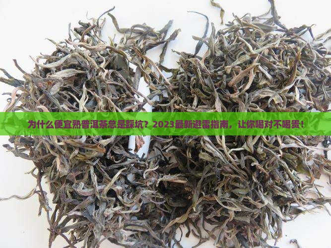 便宜熟普洱茶推荐