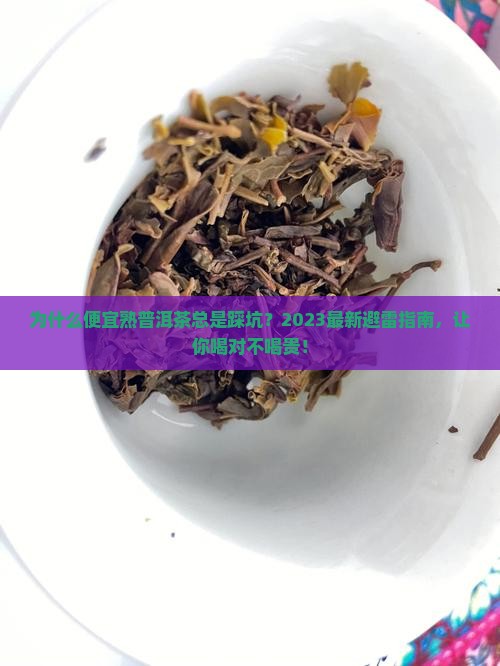 便宜熟普洱茶推荐