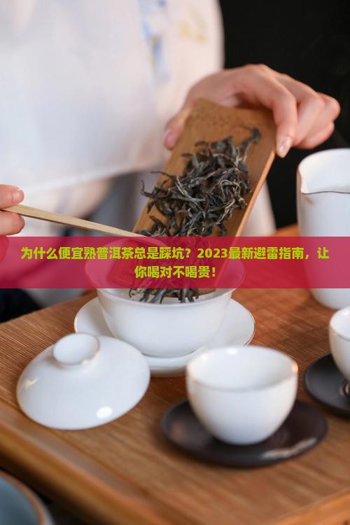 便宜熟普洱茶推荐