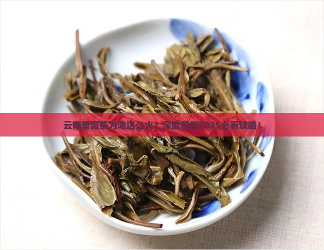 云南以普洱茶闻名吗为什么