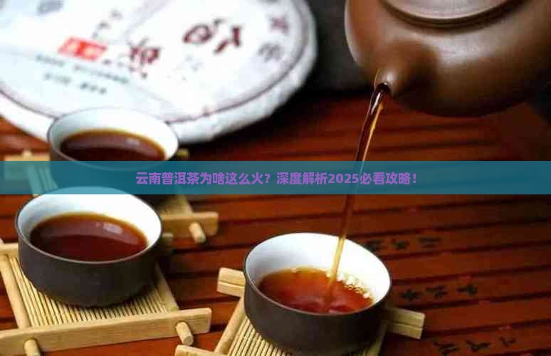 云南以普洱茶闻名吗为什么