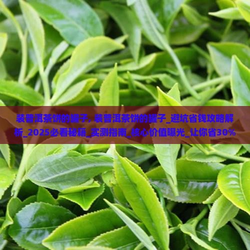装普洱茶饼的罐子