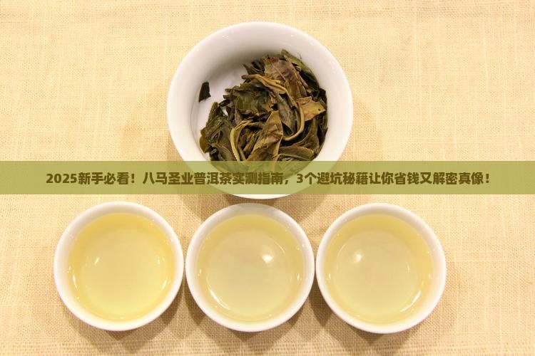 八马圣业普洱茶