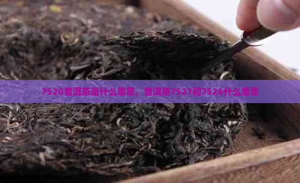 7520普洱茶是什么意思