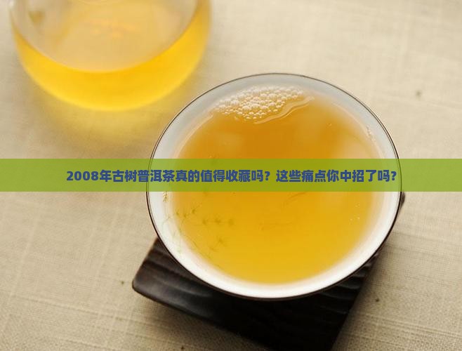 2008年古树普洱茶