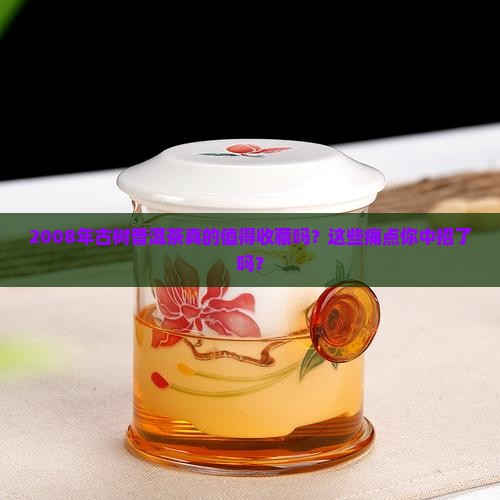 2008年古树普洱茶