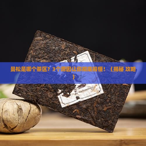 曼松是哪个茶区