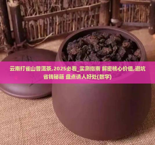 云南打雀山普洱茶
