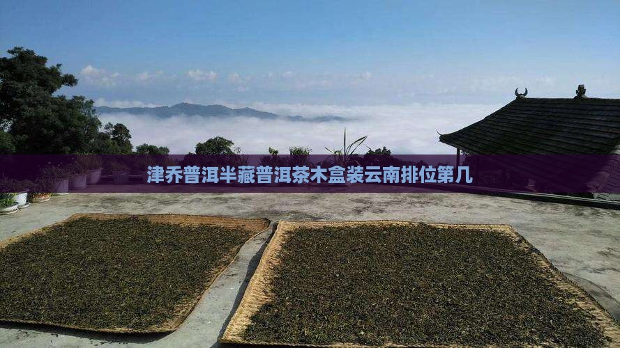 津乔普洱半藏普洱茶木盒装