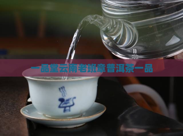 一品堂老班章古树茶