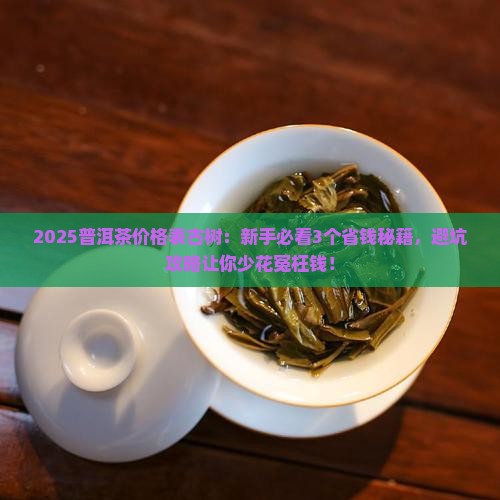 今年普洱茶价格表古树