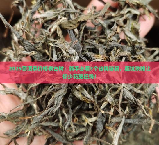 今年普洱茶价格表古树