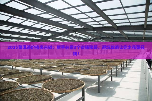 今年普洱茶价格表古树