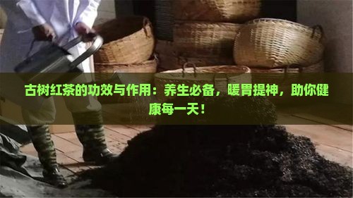 古树红茶的功效与作用