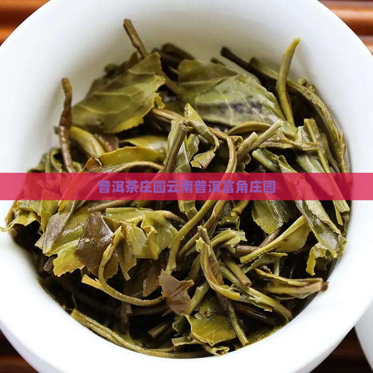 普洱茶饼富角庄园