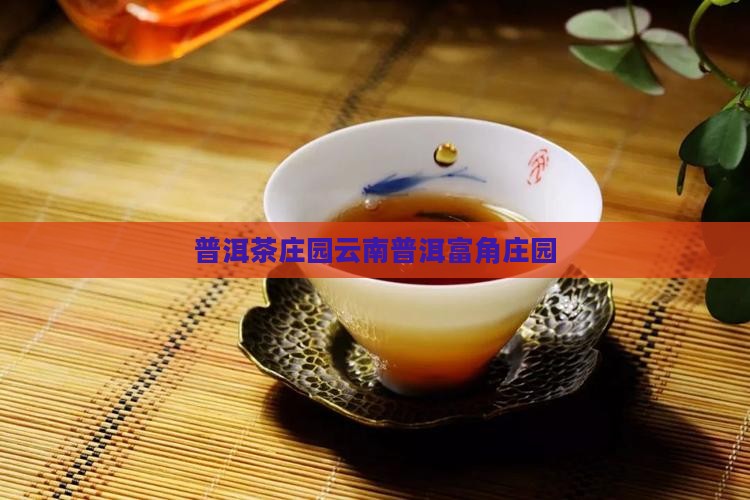 普洱茶饼富角庄园