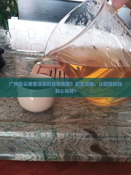 广州卖云南普洱茶的店有哪些