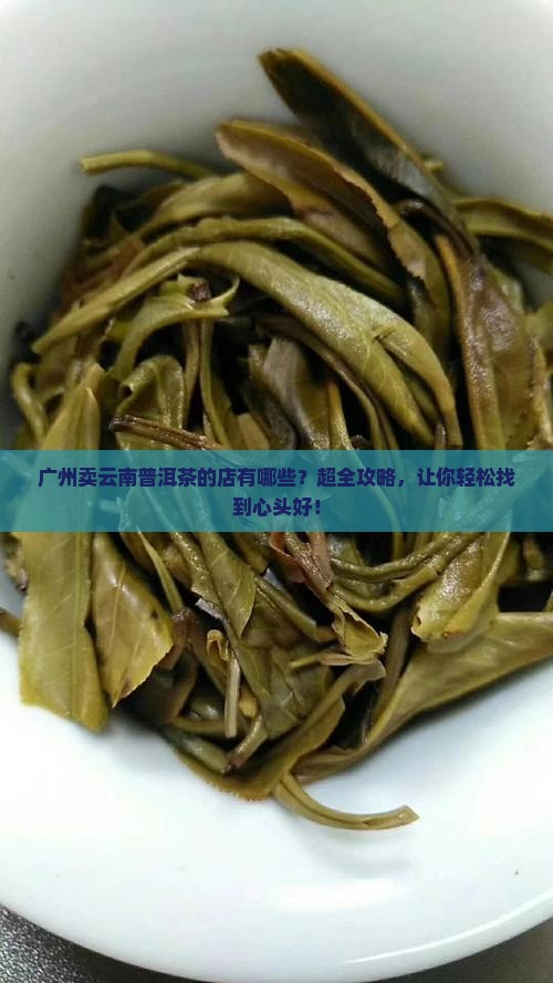 广州卖云南普洱茶的店有哪些