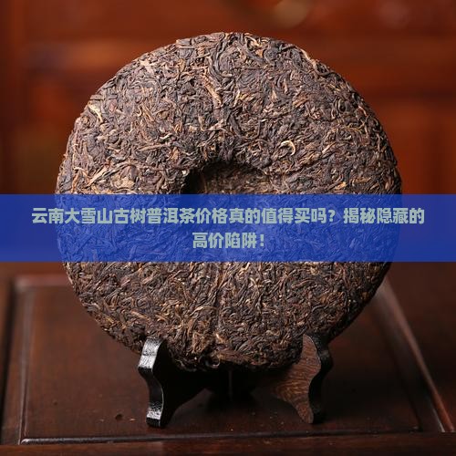 云南大雪山古树普洱茶价格