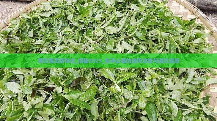 昔归普洱茶特点