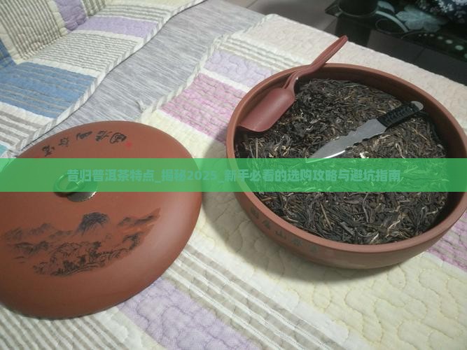 昔归普洱茶特点