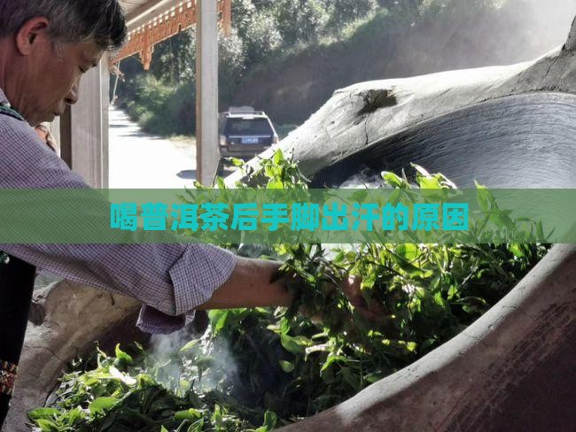 喝普洱茶后手脚出汗什么原因