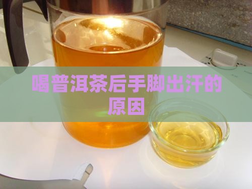 喝普洱茶后手脚出汗什么原因