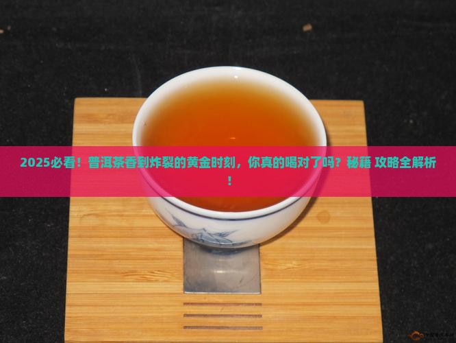 什么时候喝普洱茶最香呢
