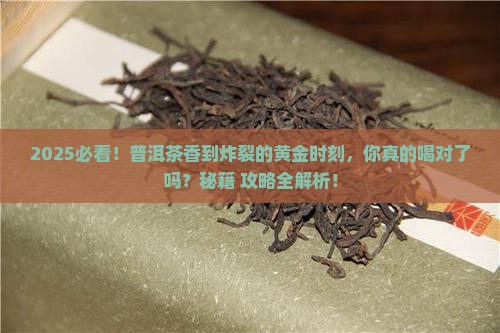 什么时候喝普洱茶最香呢