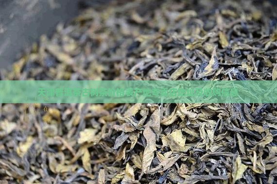 天津普洱茶古树茶