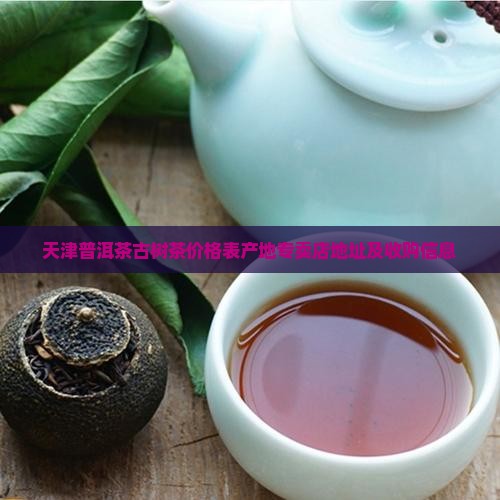 天津普洱茶古树茶
