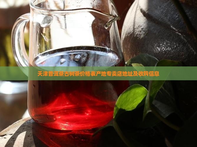 天津普洱茶古树茶