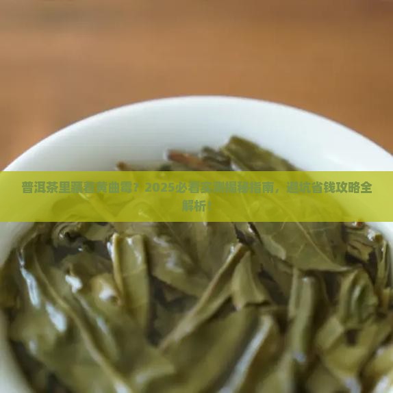 普洱茶里有黄曲霉