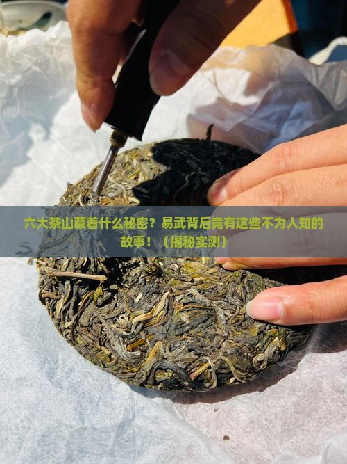 六大茶山与易武
