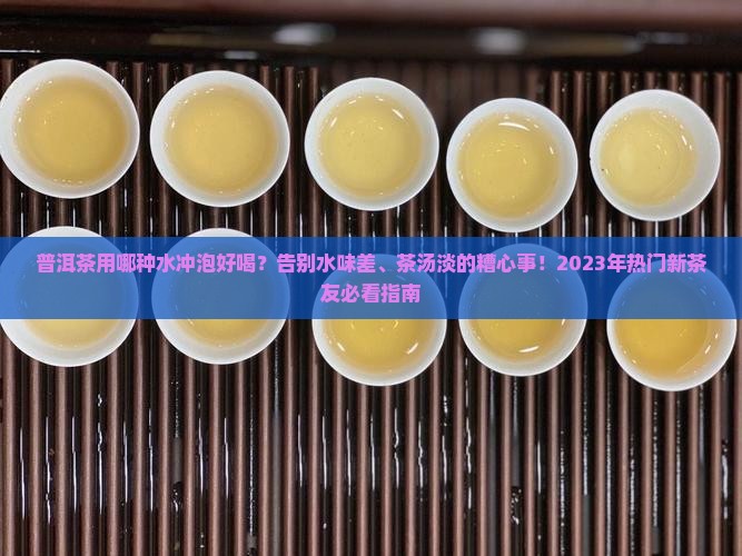 普洱茶用哪种水冲泡好喝