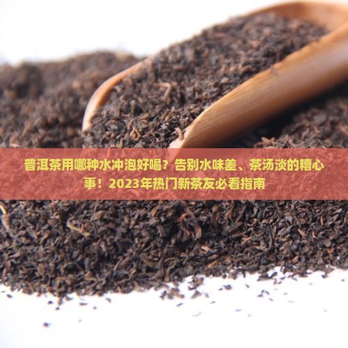 普洱茶用哪种水冲泡好喝
