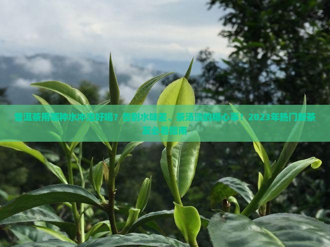 普洱茶用哪种水冲泡好喝