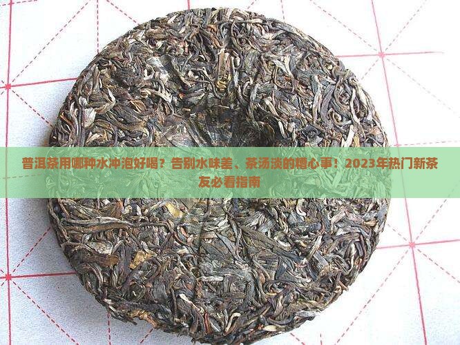 普洱茶用哪种水冲泡好喝