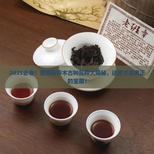 普洱茶乔木古树有哪些品种