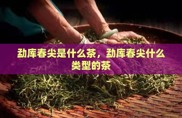 勐库春尖是什么茶