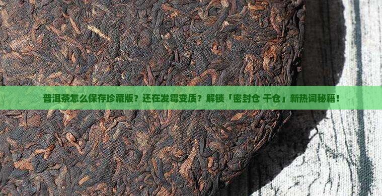 普洱茶怎么保存珍藏版